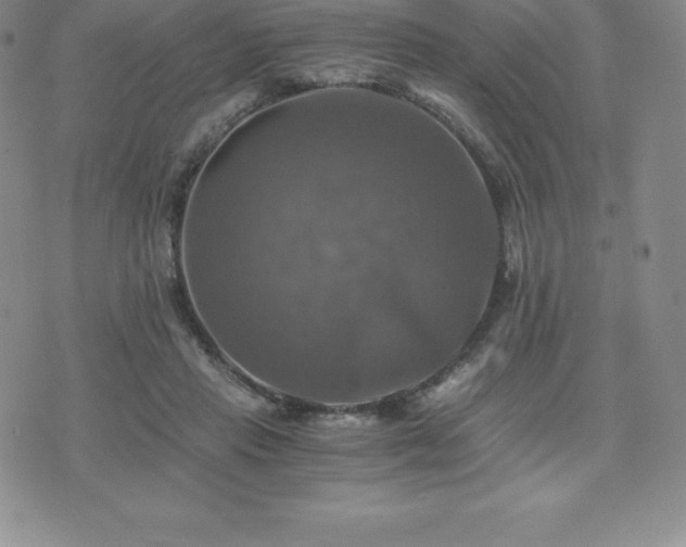 X0000075860453200609151230