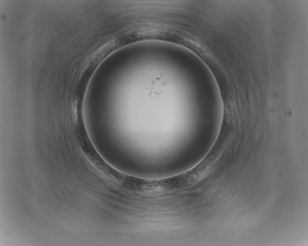 X0000075860454200609151230