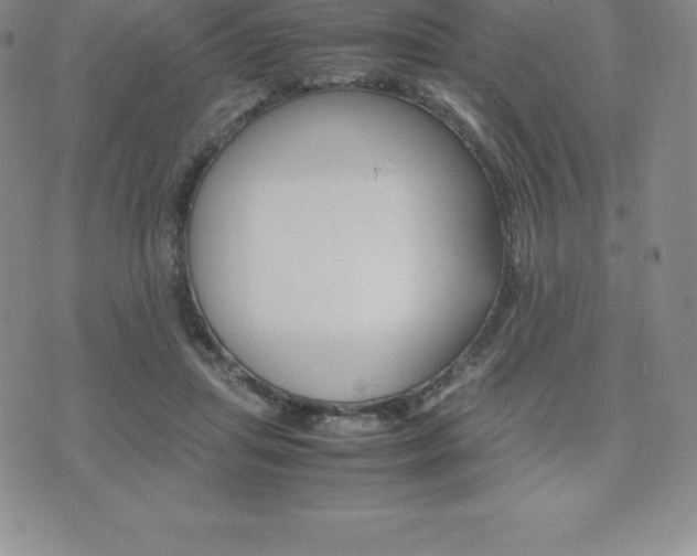 X0000075860455200609151230