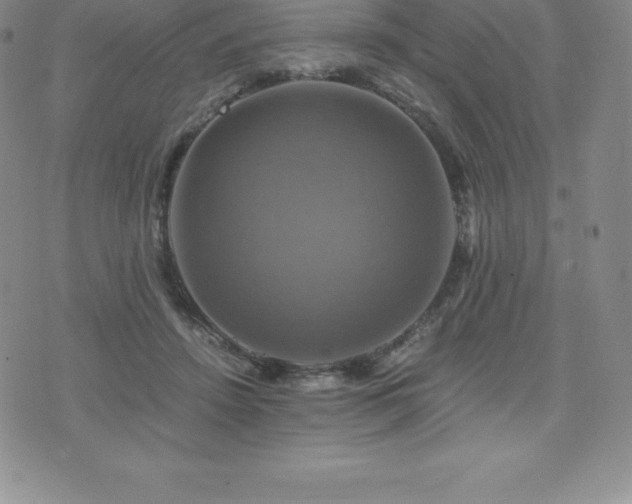 X0000075860456200609151230