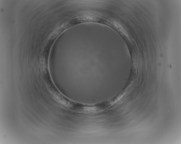 X0000075860457200609151230