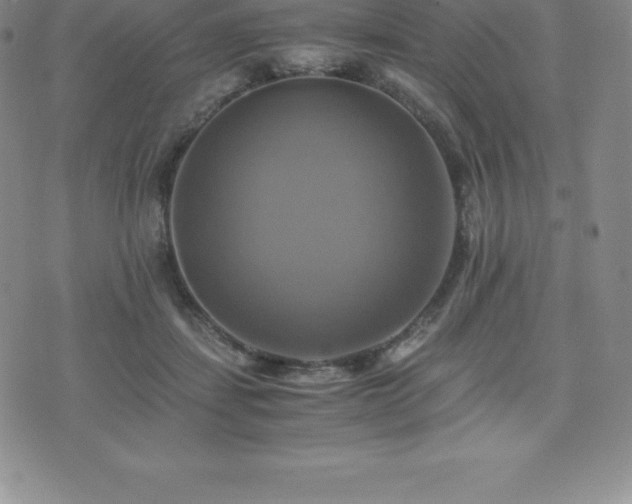 X0000075860459200609151230