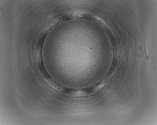 X0000075860460200609151230