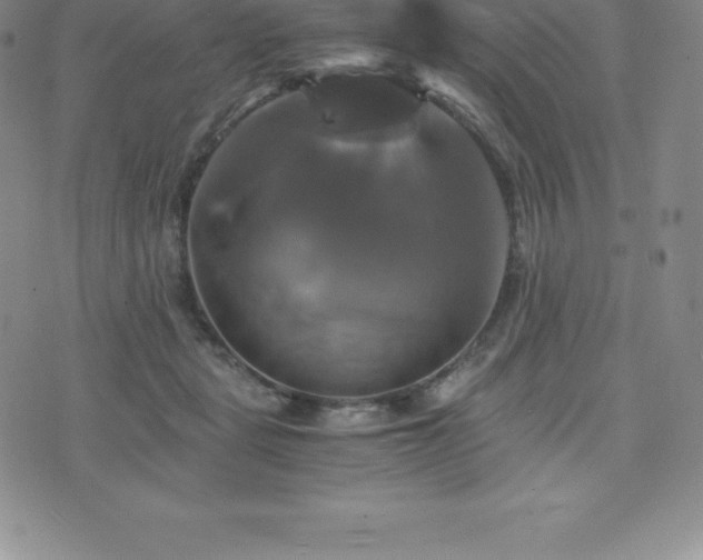 X0000075860461200609151230