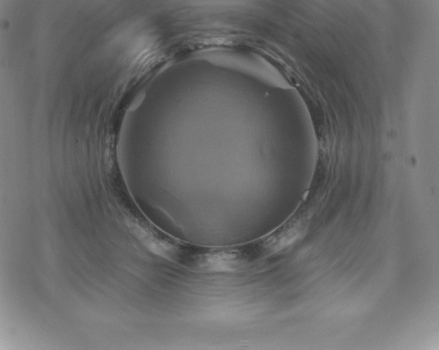 X0000075860462200609151230