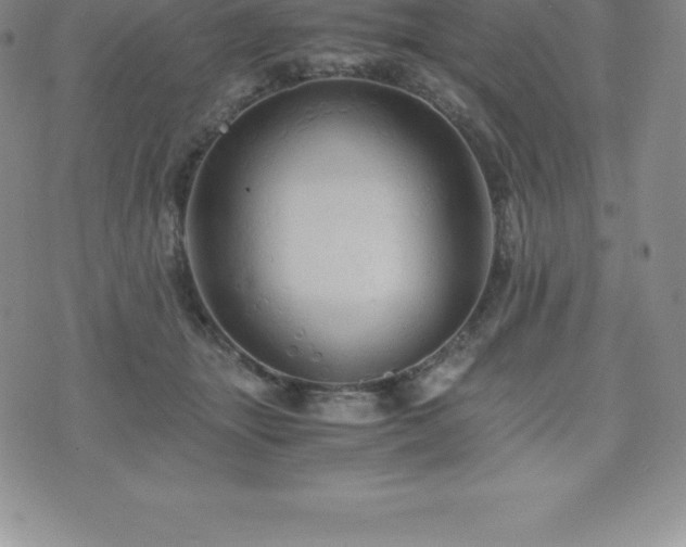 X0000075860463200609151230