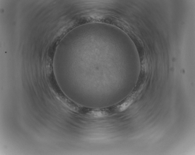 X0000075860464200609151230