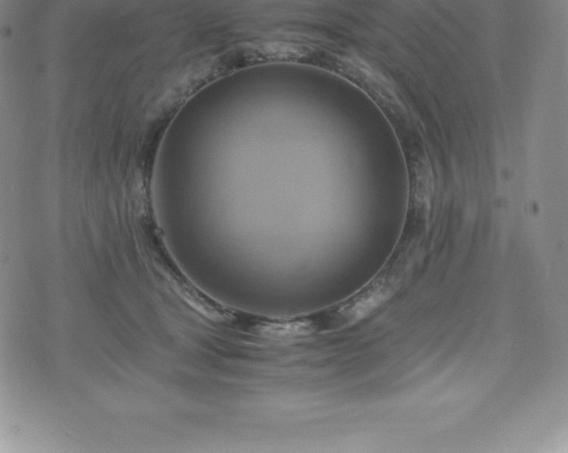 X0000075860465200609151230