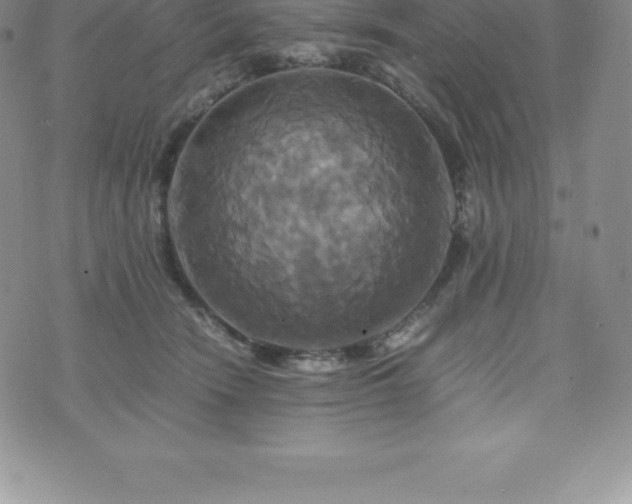 X0000075860466200609151230