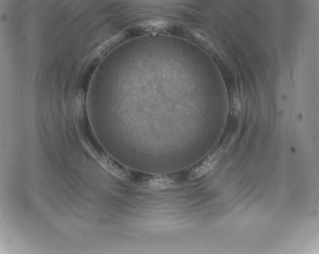 X0000075860468200609151230