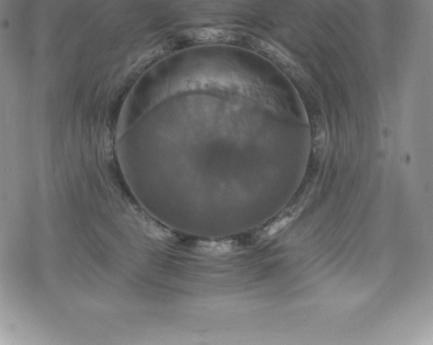 X0000075860469200609151230