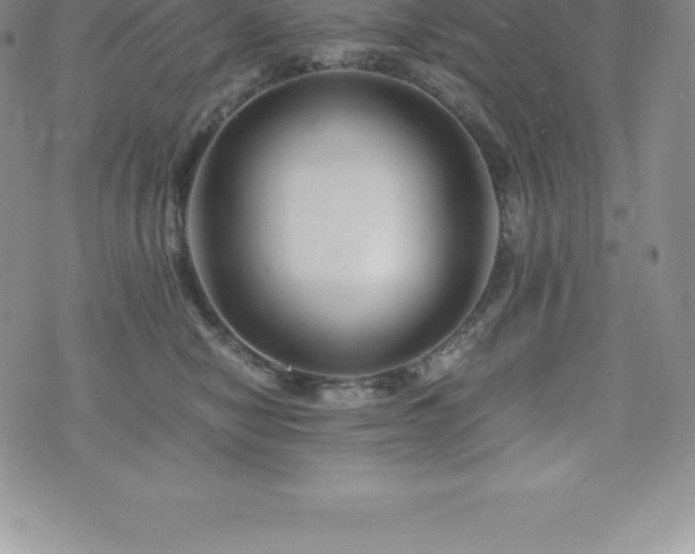 X0000075860470200609151230