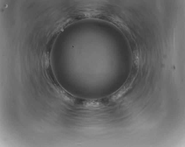 X0000075860471200609151230