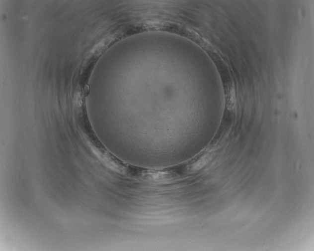 X0000075860472200609151230