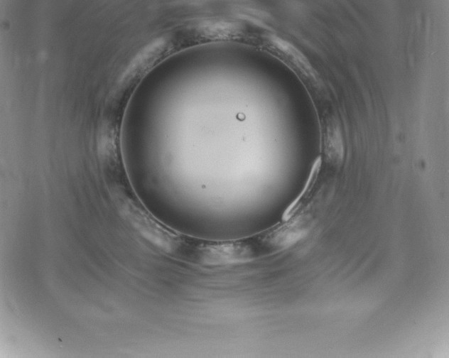 X0000075860473200609151230