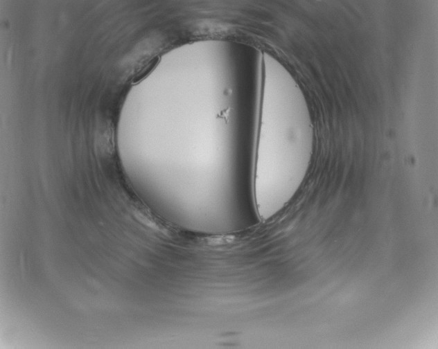 X0000075860474200609151230