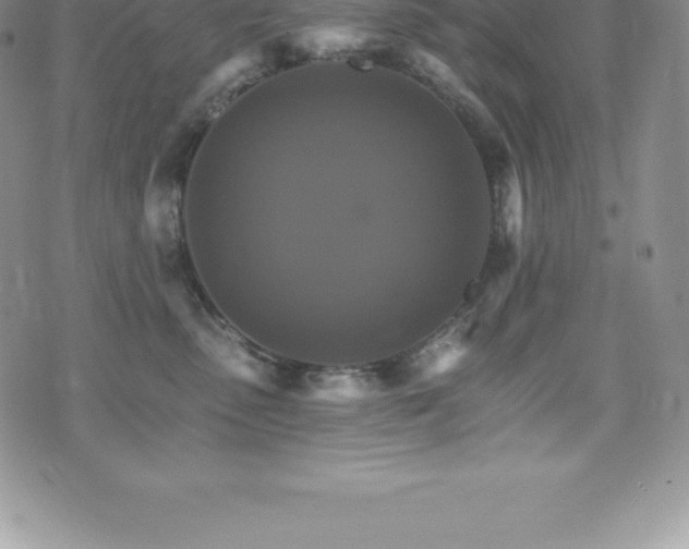 X0000075860475200609151230