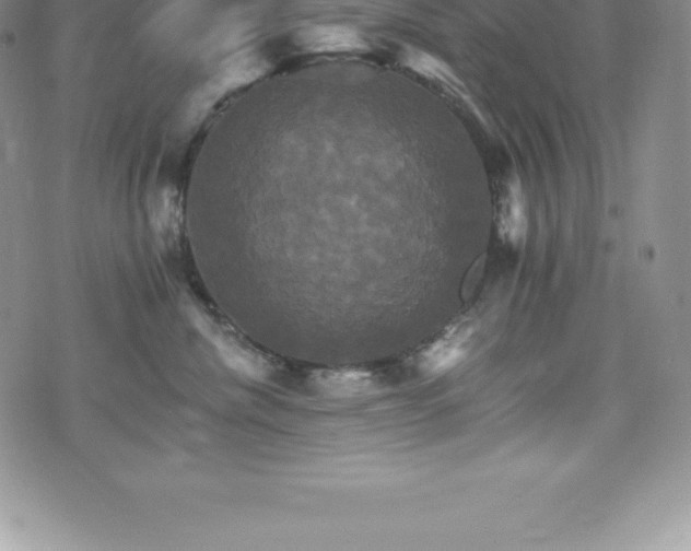 X0000075860476200609151230