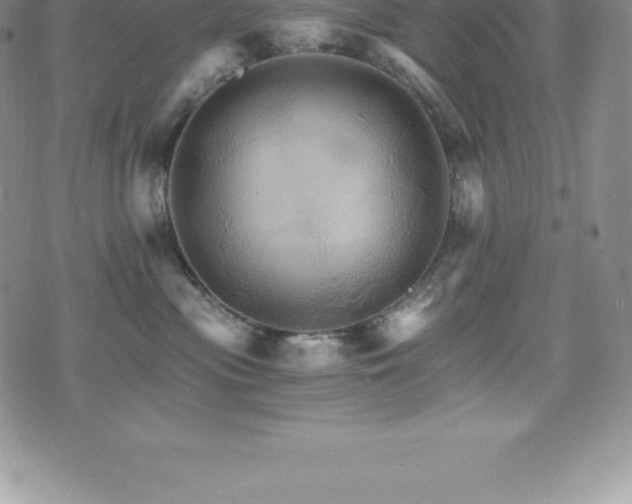 X0000075860477200609151230