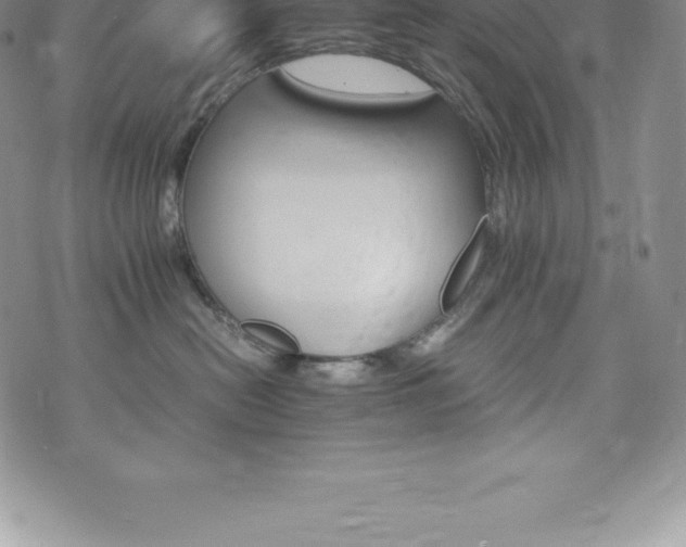 X0000075860478200609151231