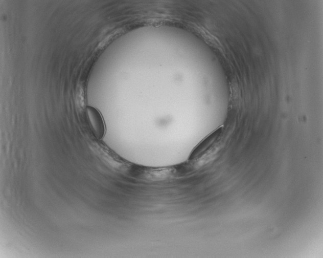 X0000075860479200609151231