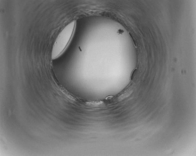 X0000075860480200609151231