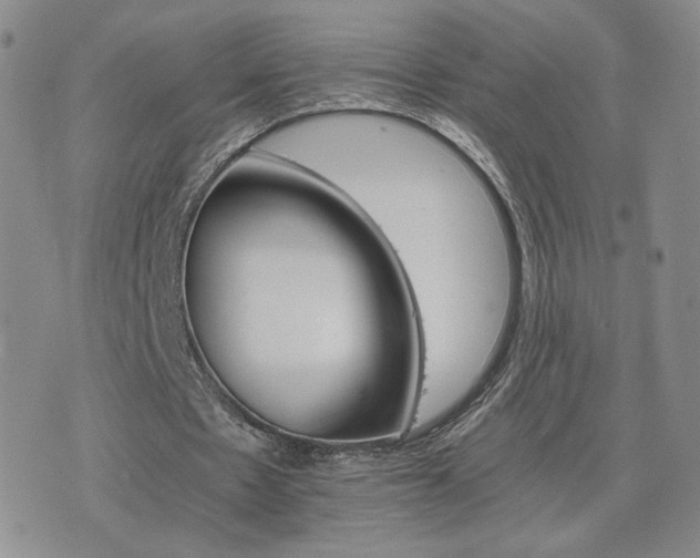 X0000075860481200609151230