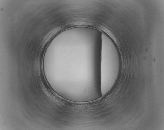 X0000075860482200609151230