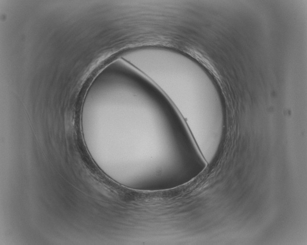 X0000075860483200609151230