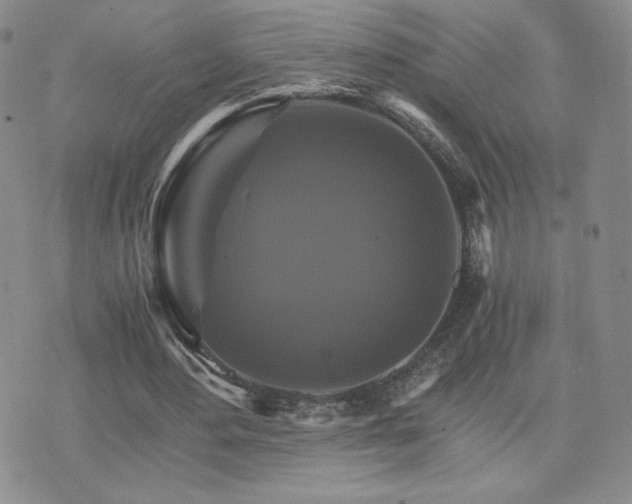 X0000075860484200609151230