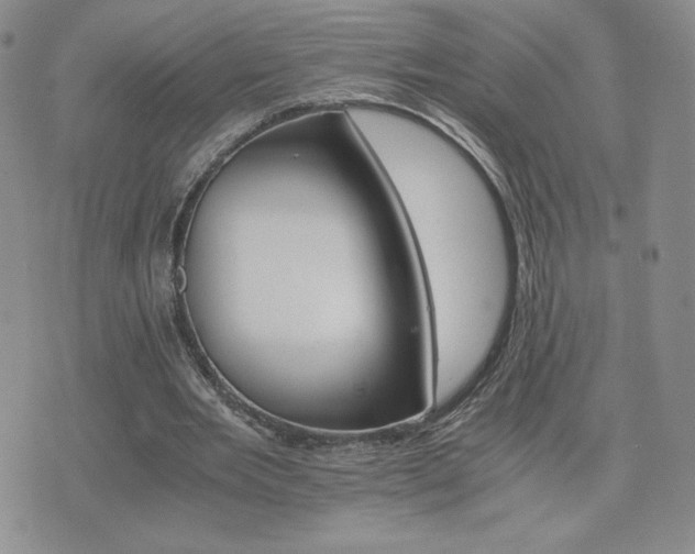 X0000075860485200609151230