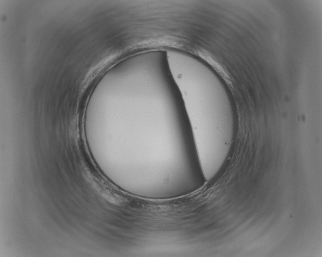 X0000075860486200609151230