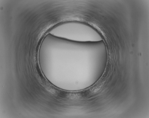 X0000075860487200609151230