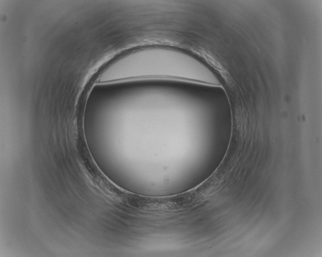 X0000075860488200609151230