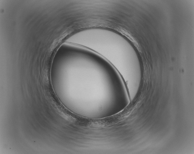 X0000075860489200609151230