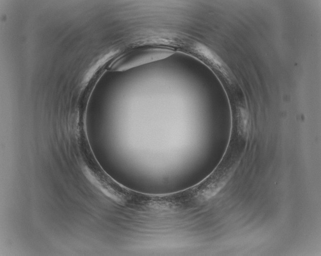 X0000075860490200609151230