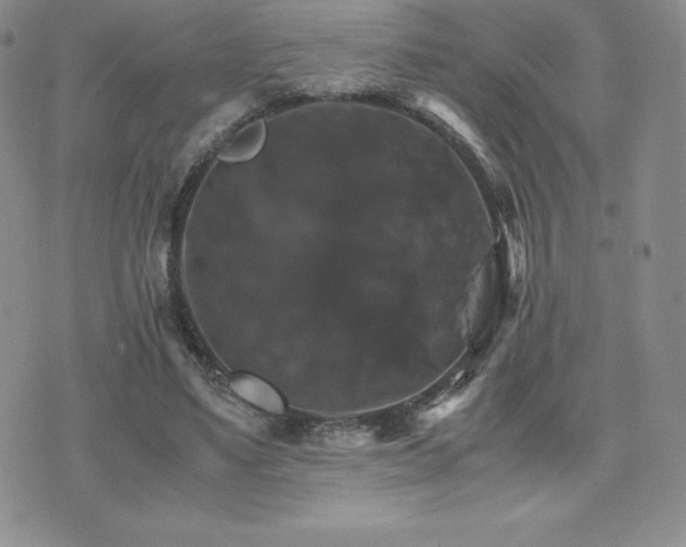 X0000075860491200609151230