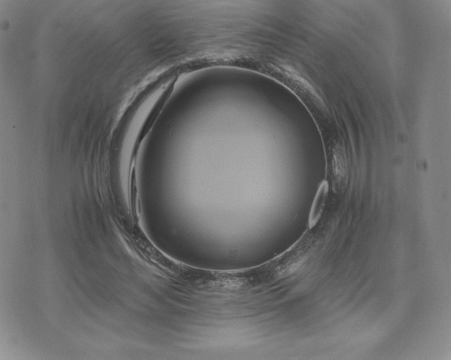 X0000075860492200609151230