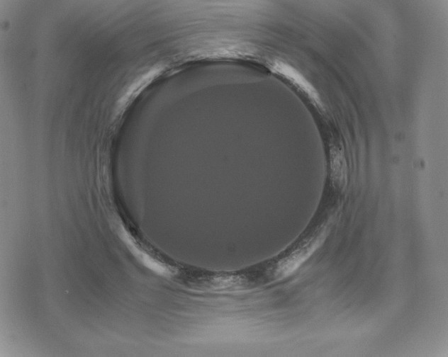 X0000075860493200609151230