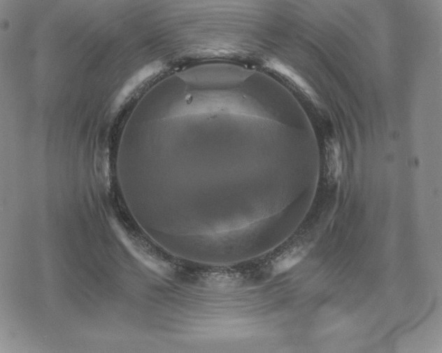 X0000075860494200609151230