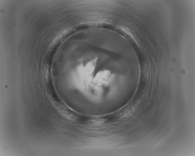 X0000075860495200609151230