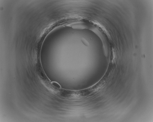 X0000075860496200609151230