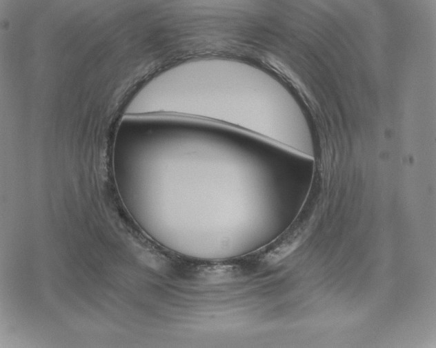 X0000075860497200609151229