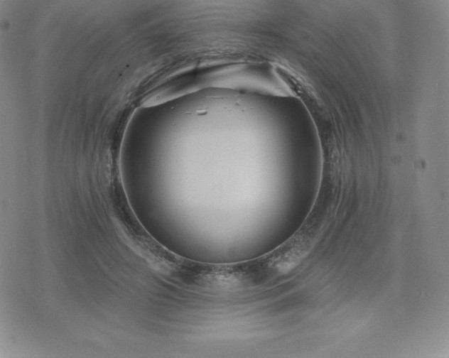 X0000075860498200609151229