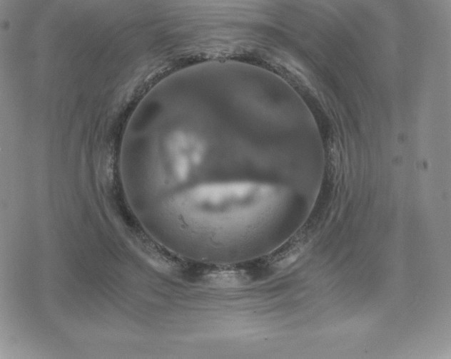 X0000075860499200609151229