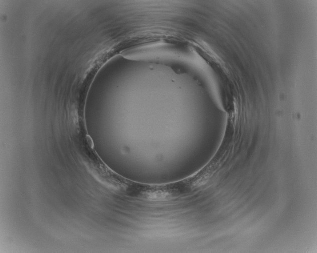 X0000075860500200609151229