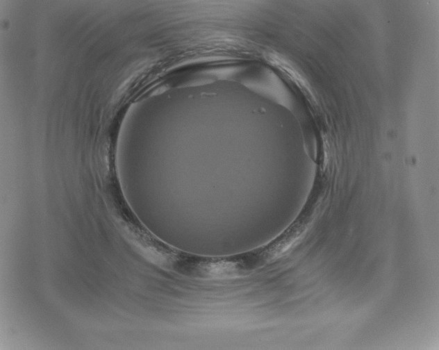 X0000075860501200609151229