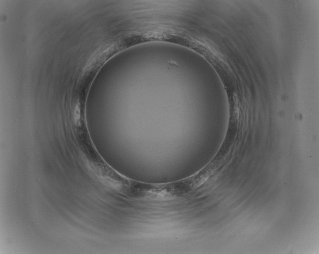 X0000075860502200609151229