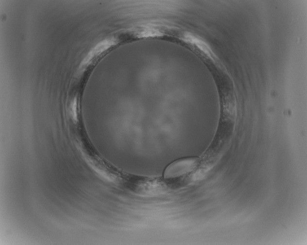 X0000075860503200609151229