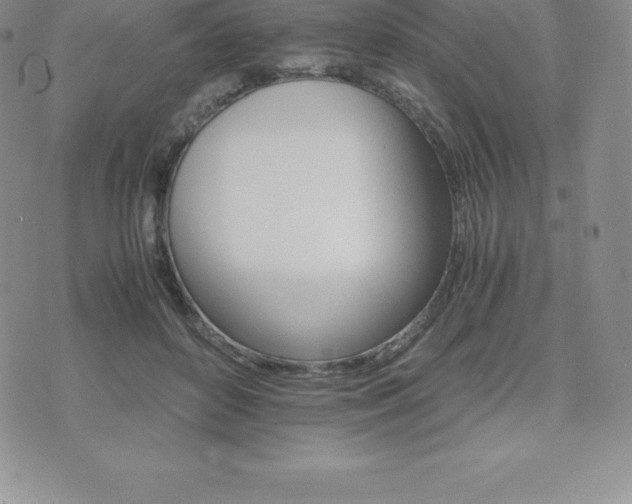 X0000075860504200609151229